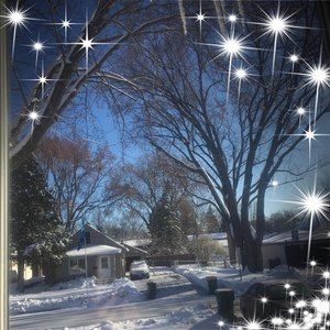 Meet your Posher, Rosa